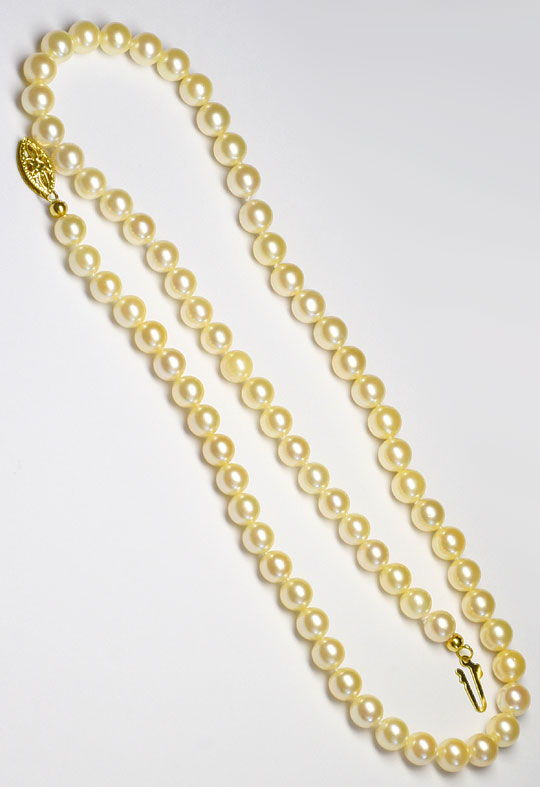 Foto 3 - Akoya Zuchtperlenkette, Goldfarbene Perlen, Goldschloss, S4223